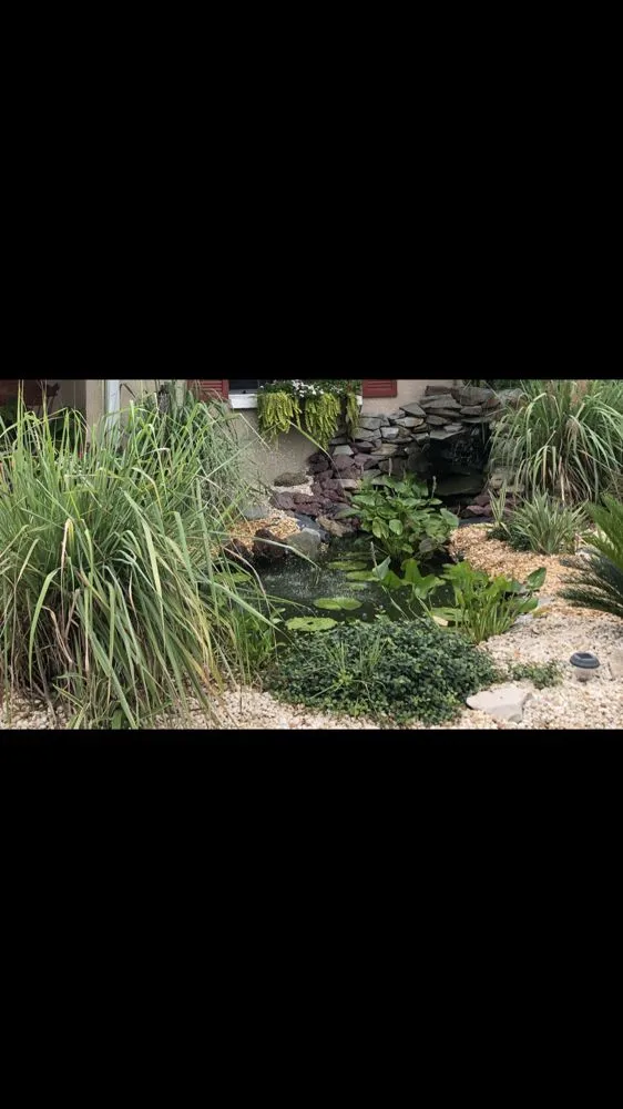 Expert outdoor landscaping near you across Spring Hill, FL - Green Tongue Landscaping & Koi Pond Design