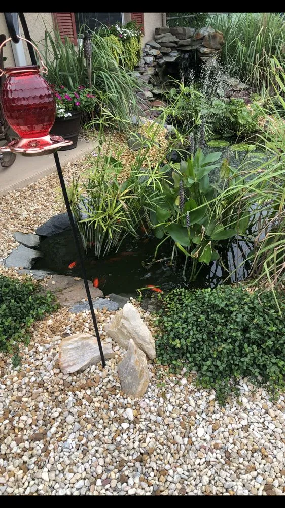 Top-rated lawn mowing service for outdoor upgrades across Spring Hill, FL - Green Tongue Landscaping & Koi Pond Design