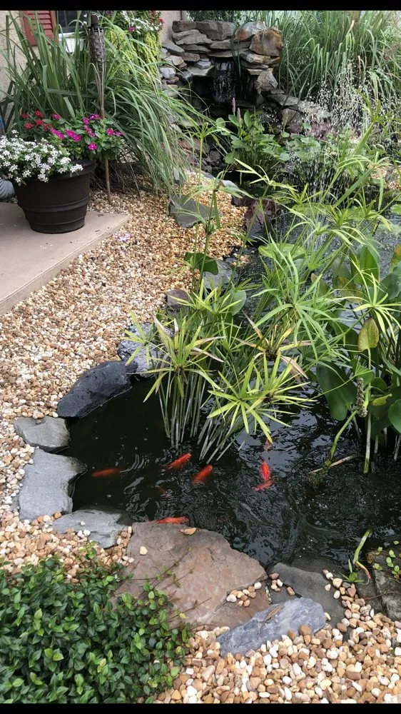 Expert lawn care service in Spring Hill, FL by Green Tongue Landscaping & Koi Pond Design
