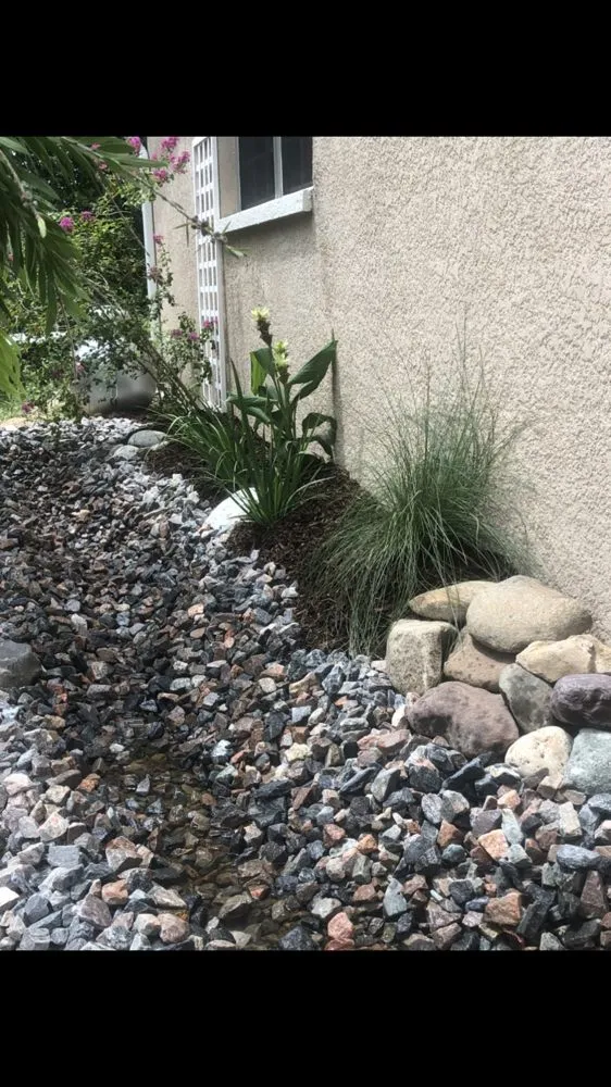 Expert garden landscaping for residential properties across Spring Hill, FL - Green Tongue Landscaping & Koi Pond Design