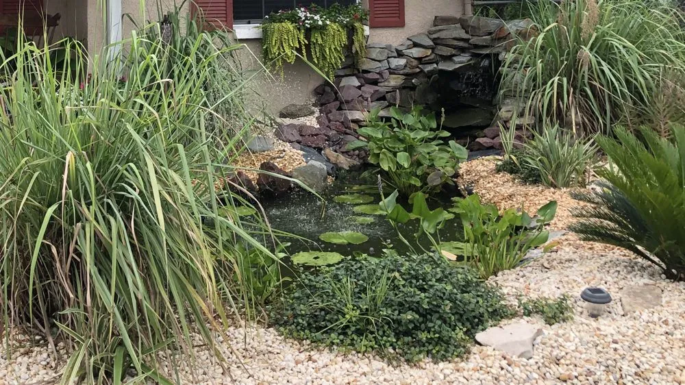 Professional residential landscaping for year-round maintenance across Spring Hill, FL - Green Tongue Landscaping & Koi Pond Design
