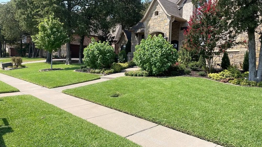 Top-rated yard cleanup service for year-round maintenance across Euless, TX - Green Top Lawn Care