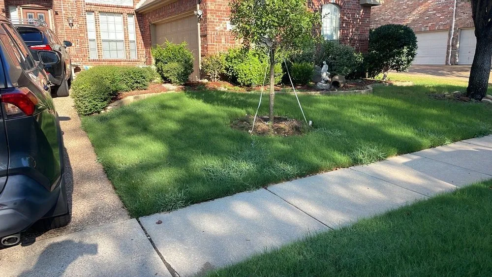 Custom landscaping services in Euless, TX - Green Top Lawn Care