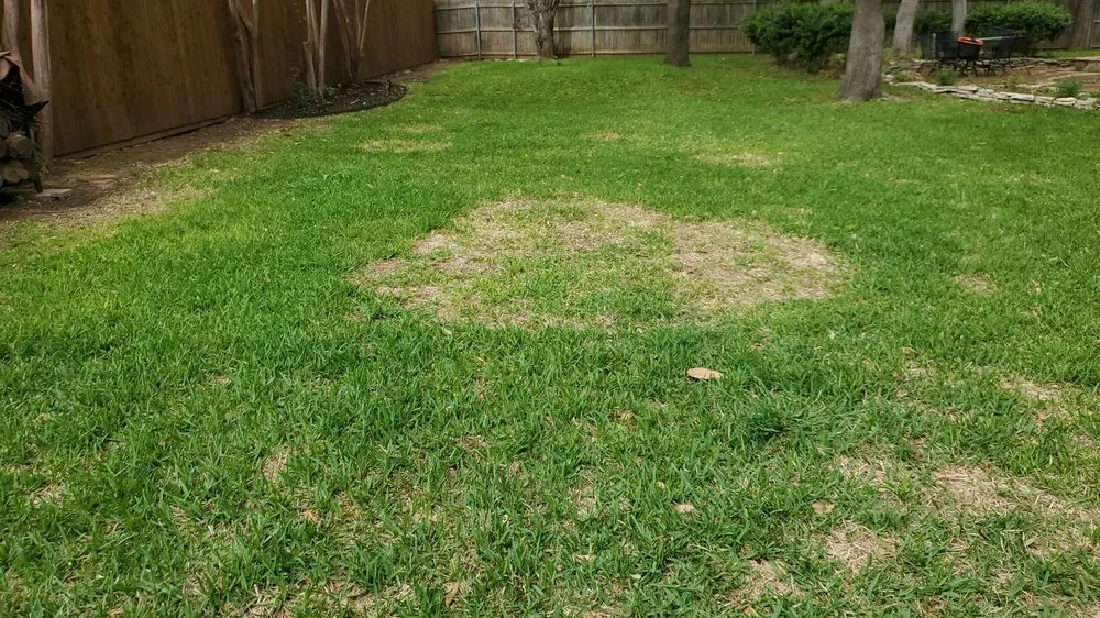 Top-rated outdoor landscaping in Euless, TX by Green Top Lawn Care
