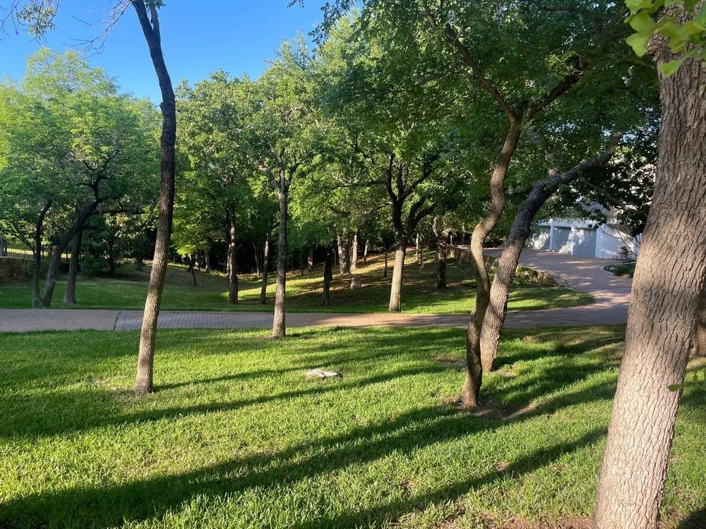 Trusted outdoor landscaping in Euless, TX - Green Top Lawn Care