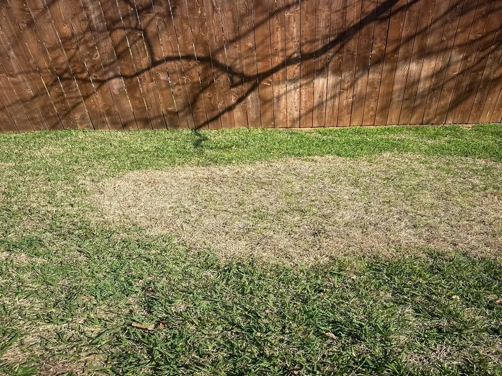 Top-rated yard cleanup service for outdoor upgrades in Euless, TX by Green Top Lawn Care