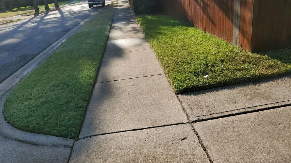 Expert lawn care service experts serving Euless, TX - Green Top Lawn Care