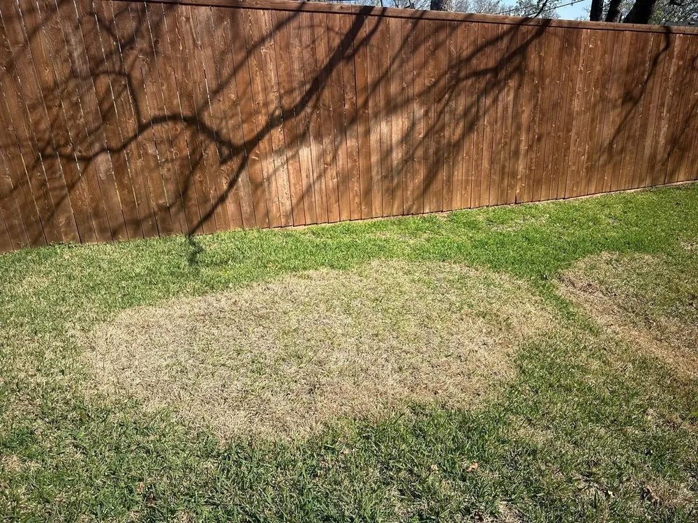 Local residential landscaping in Euless, TX by Green Top Lawn Care