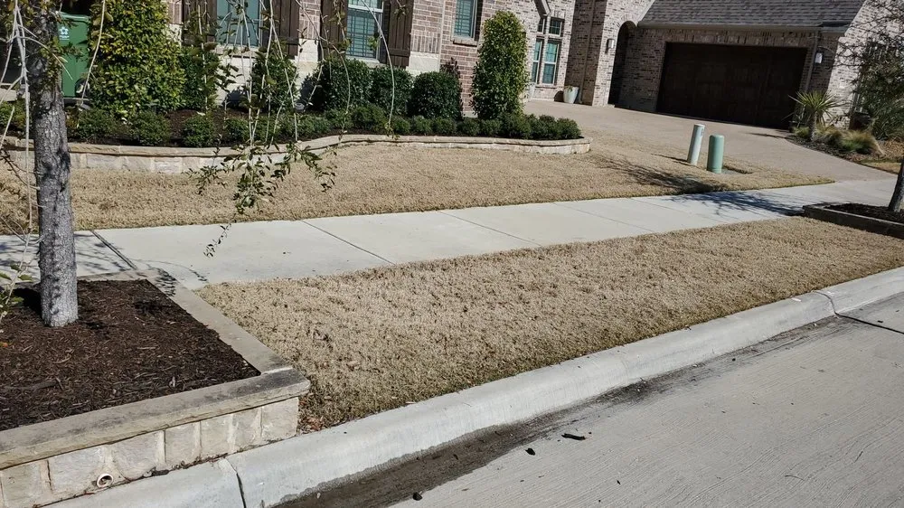 Affordable yard cleanup service for outdoor upgrades in Euless, TX by Green Top Lawn Care