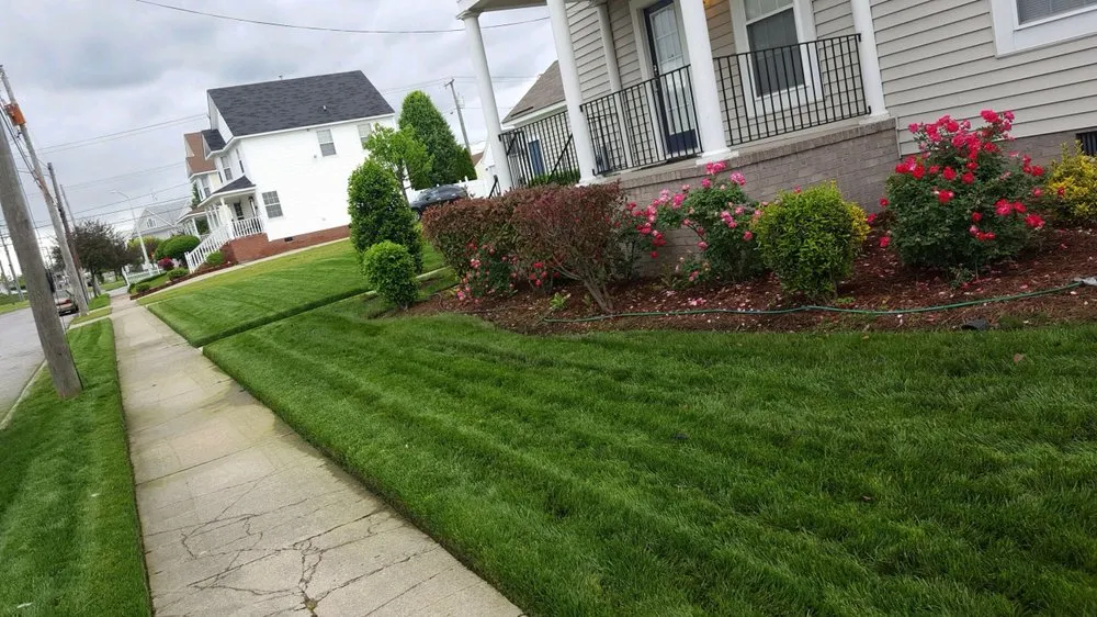 Top-rated lawn care service experts serving Norfolk, VA - Green Top Lawn