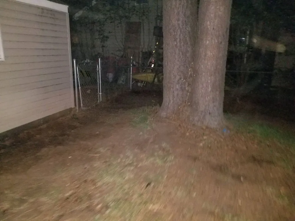 Top-rated yard maintenance near you in Norfolk, VA by Green Top Lawn