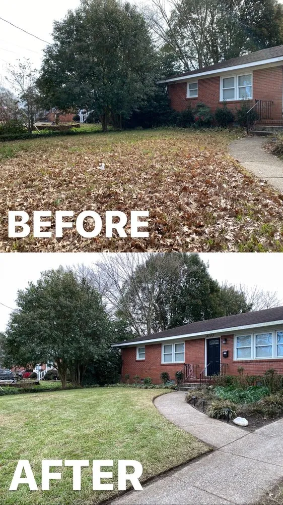 Affordable outdoor landscaping experts serving Norfolk, VA - Green Top Lawn