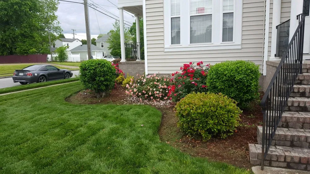 Top-rated yard maintenance experts serving Norfolk, VA - Green Top Lawn