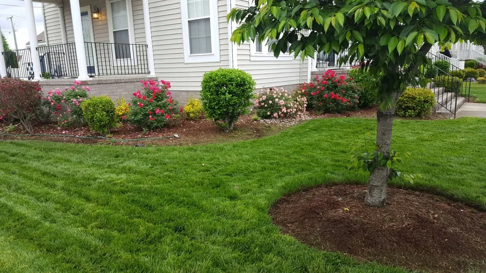 Affordable landscape design for homes across Norfolk, VA - Green Top Lawn