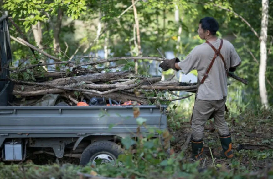Local lawn mowing service experts serving Franklinton, NC - Green Top Properties