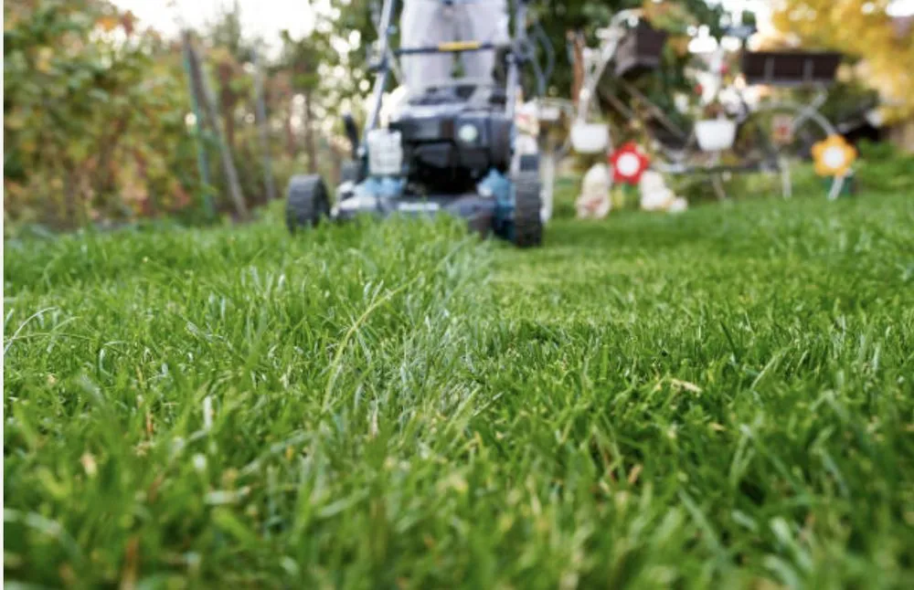 Professional lawn mowing service for residential properties across Franklinton, NC - Green Top Properties