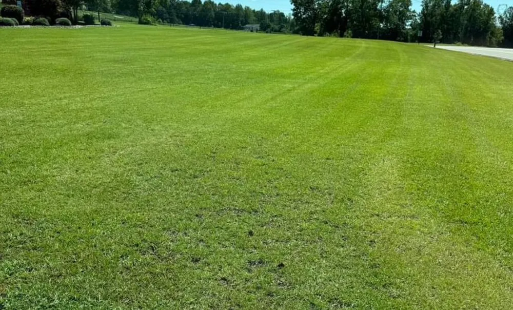 Affordable landscaping services in Franklinton, NC by Green Top Properties