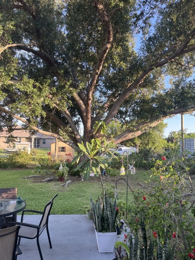 Affordable lawn care service near you across Venice, FL - Green Topps Tree Service & Landscaping