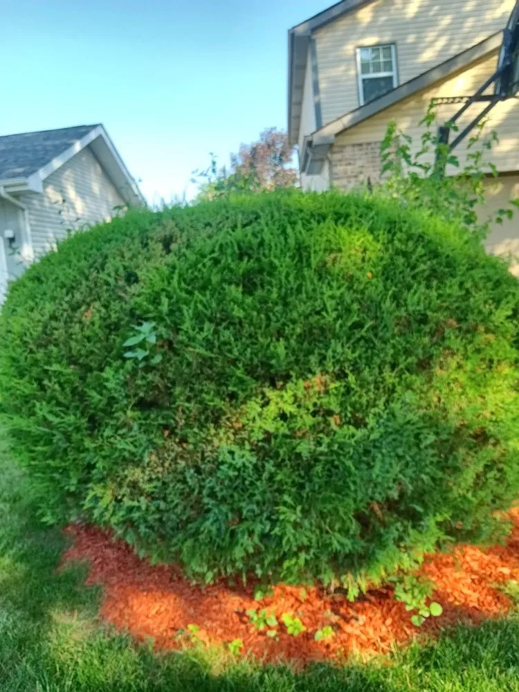 Custom garden landscaping for residential properties across South Elgin, IL - Green Toro Lawn Care