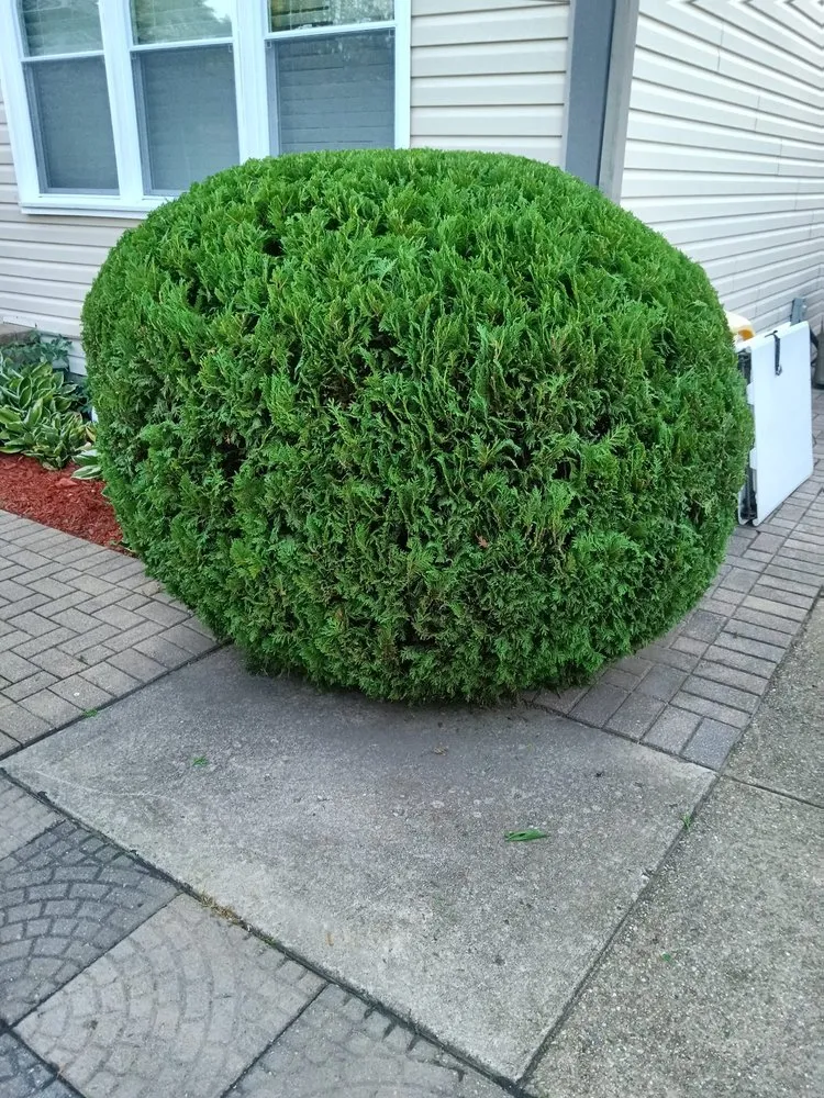 Trusted outdoor landscaping in South Elgin, IL - Green Toro Lawn Care