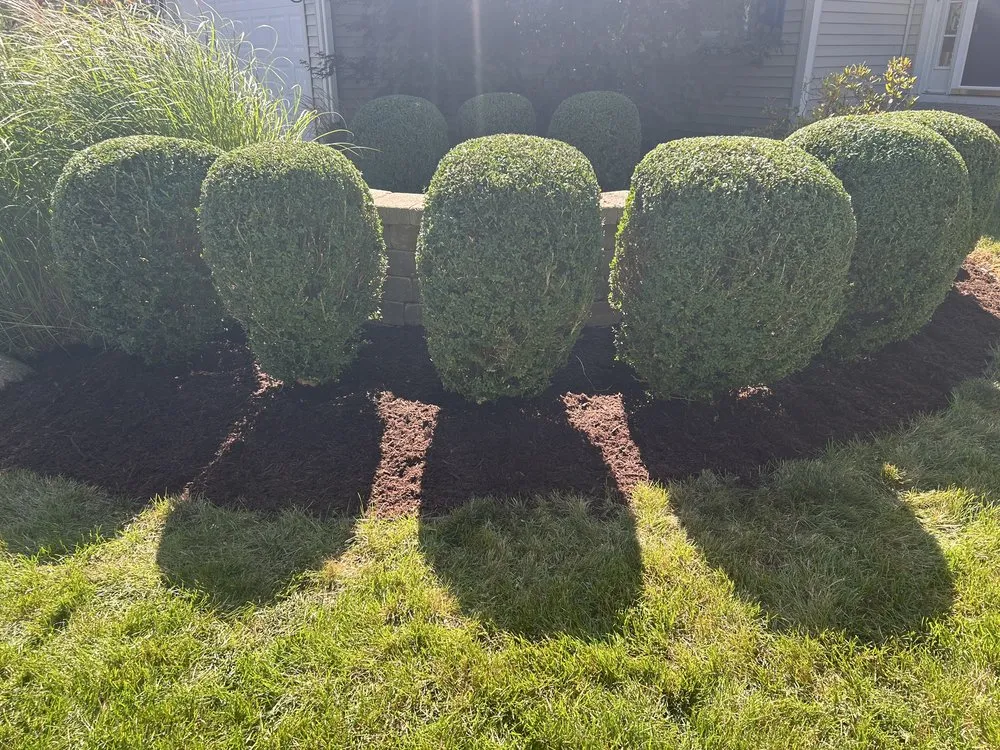 Trusted landscape design in South Elgin, IL - Green Toro Lawn Care