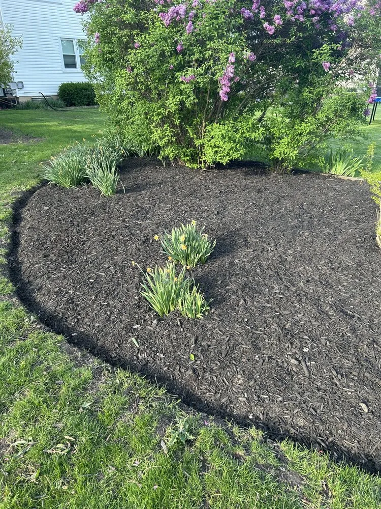 Professional landscape design with custom design across South Elgin, IL - Green Toro Lawn Care