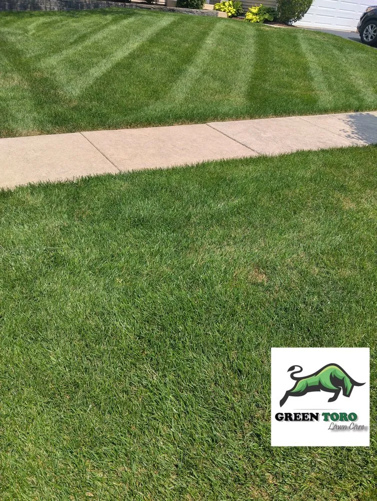 Professional outdoor landscaping for residential properties in South Elgin, IL by Green Toro Lawn Care
