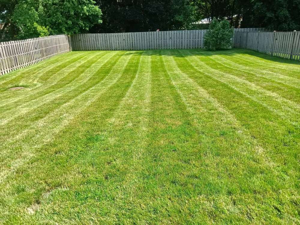 Custom yard cleanup service for homes in South Elgin, IL by Green Toro Lawn Care