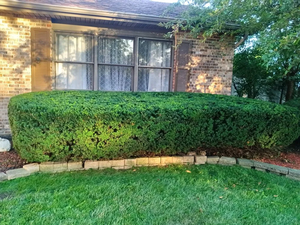 Expert landscape design experts serving South Elgin, IL - Green Toro Lawn Care