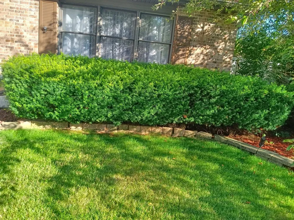 Reliable residential landscaping in South Elgin, IL - Green Toro Lawn Care