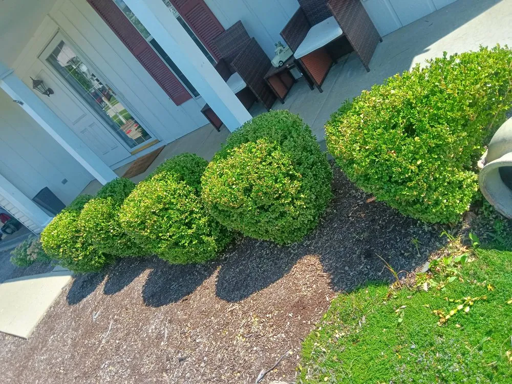 Affordable garden landscaping experts serving South Elgin, IL - Green Toro Lawn Care