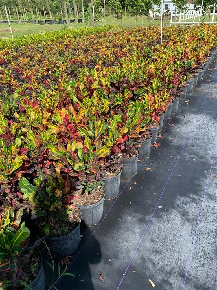 Professional landscape design experts serving Miami, FL - Green Touch Landscaping