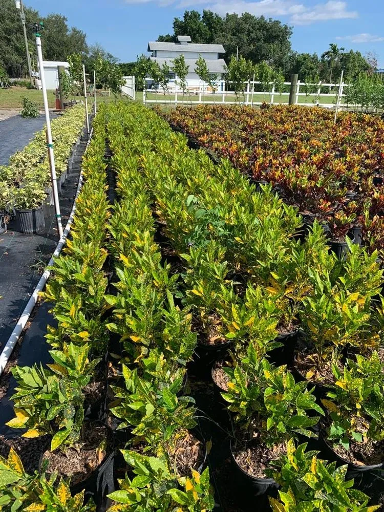 Affordable lawn care service experts serving Miami, FL - Green Touch Landscaping