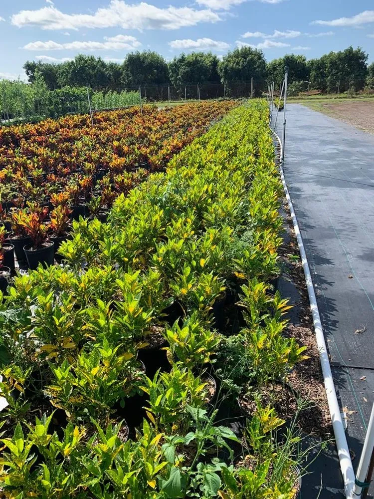 Professional garden landscaping in Miami, FL - Green Touch Landscaping