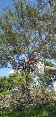 Green Touch Landscaping Logo