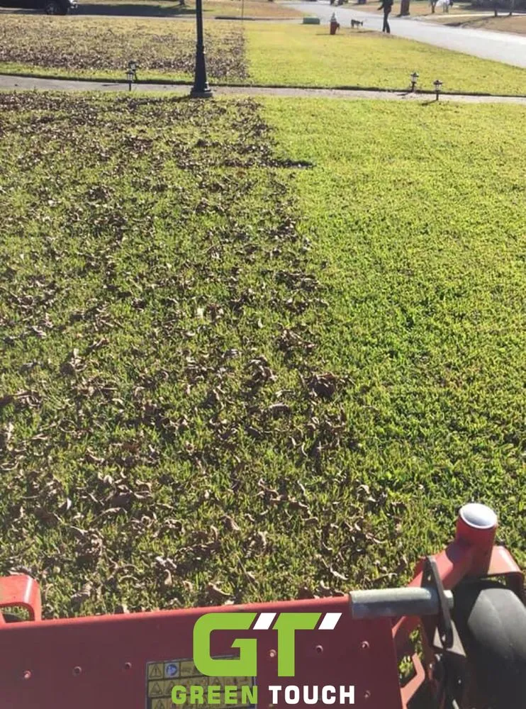 Expert lawn mowing service in Warner Robins, GA - Green Touch landscaping