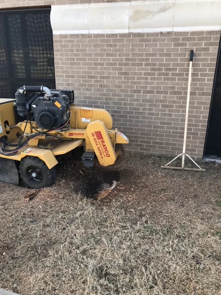 Trusted yard cleanup service in Wichita Falls, TX by Green Touch Lawn & Landscape