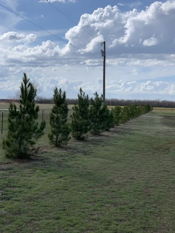 Expert landscape design experts serving Wichita Falls, TX - Green Touch Lawn & Landscape