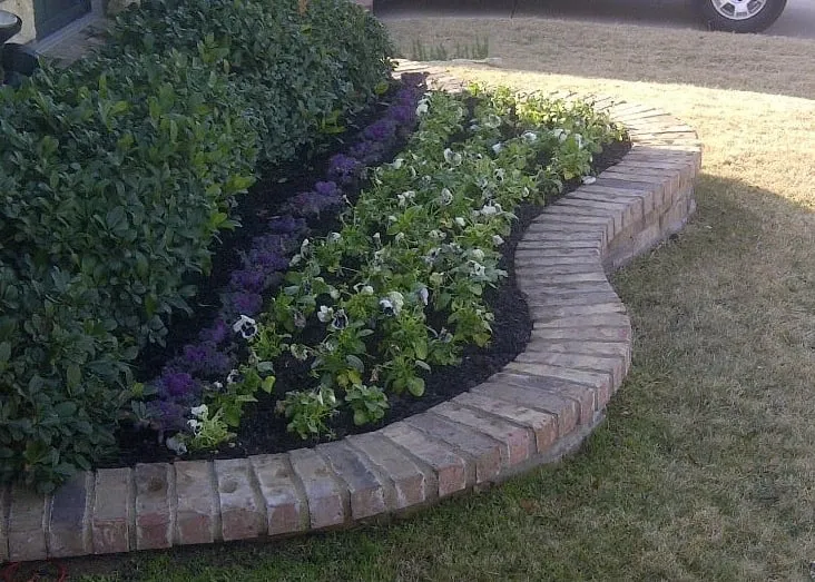 Trusted lawn care service for year-round maintenance in Granbury, TX by Green Touch Lawn Works