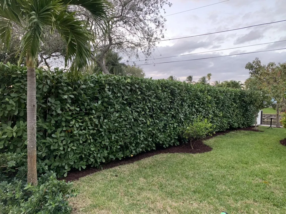 Professional lawn mowing service in Fort Lauderdale, FL - Green Touch Property Maintenance