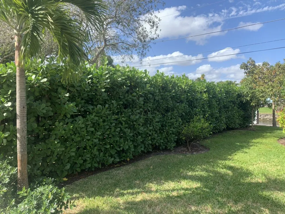 Top-rated garden landscaping for year-round maintenance across Fort Lauderdale, FL - Green Touch Property Maintenance