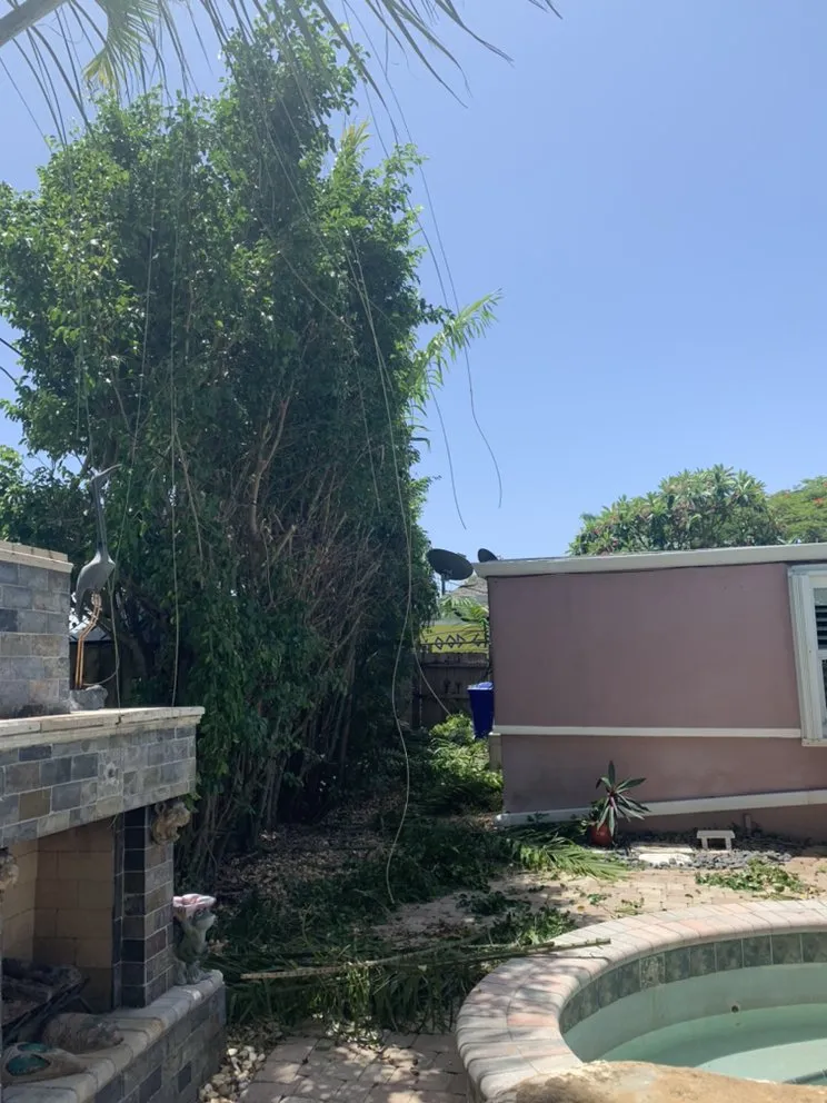 Custom landscape installation for homes in Fort Lauderdale, FL by Green Touch Property Maintenance