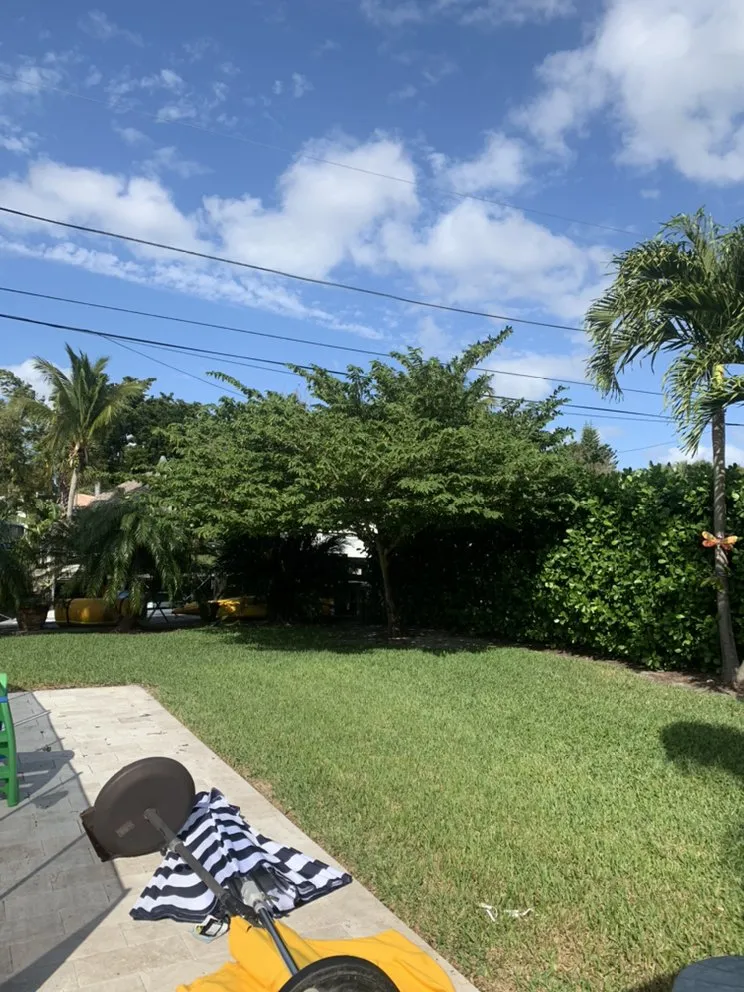 Trusted outdoor landscaping near you across Fort Lauderdale, FL - Green Touch Property Maintenance