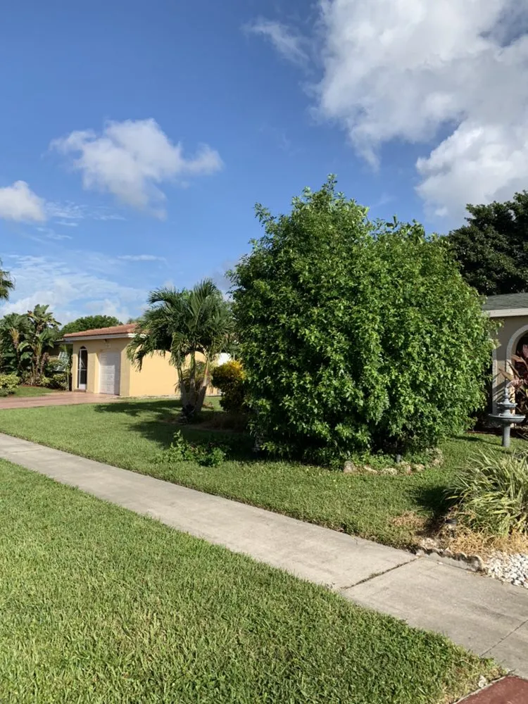 Expert yard cleanup service experts serving Fort Lauderdale, FL - Green Touch Property Maintenance