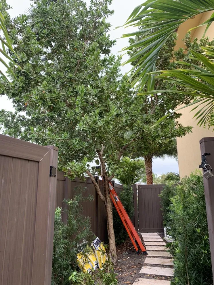 Reliable landscape installation for outdoor upgrades in Fort Lauderdale, FL by Green Touch Property Maintenance
