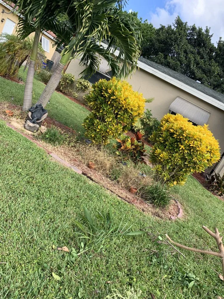 Local lawn mowing service experts serving Fort Lauderdale, FL - Green Touch Property Maintenance