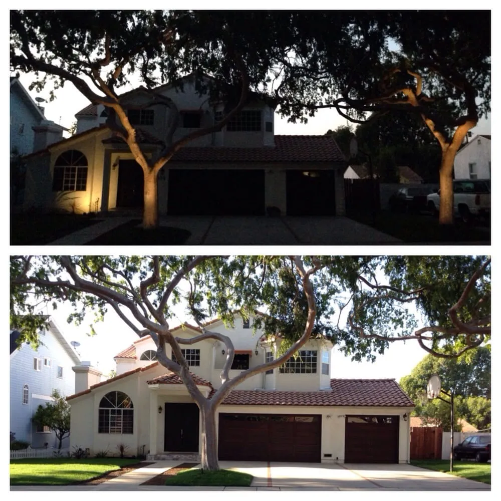 Professional residential landscaping near you across Bellflower, CA - Green Touch Tree and Landscaping Services