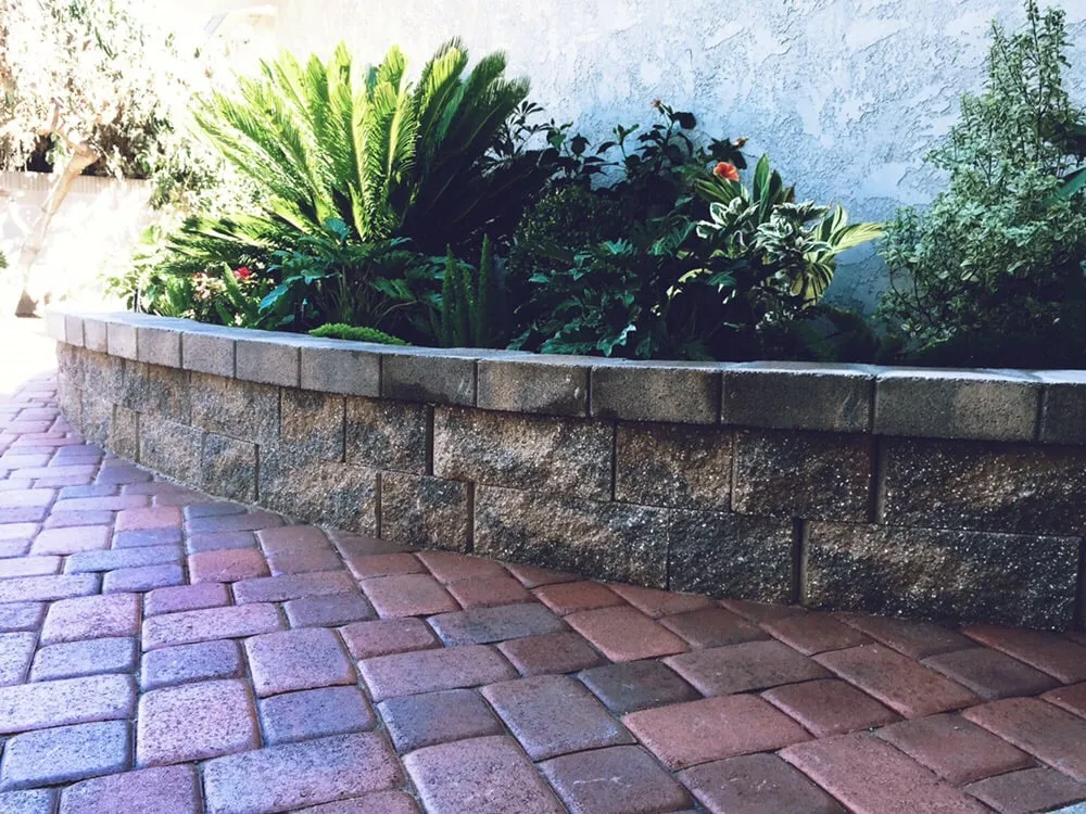 Top-rated yard maintenance in Bellflower, CA - Green Touch Tree and Landscaping Services