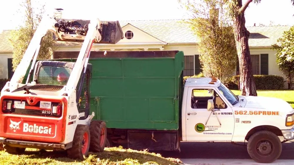 Professional yard maintenance experts serving Bellflower, CA - Green Touch Tree and Landscaping Services