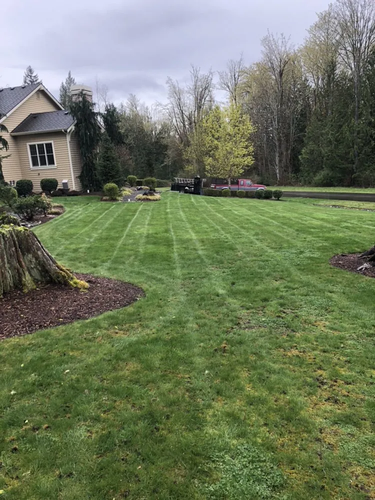 Professional outdoor landscaping in Seattle, WA by Green Town Landscaping